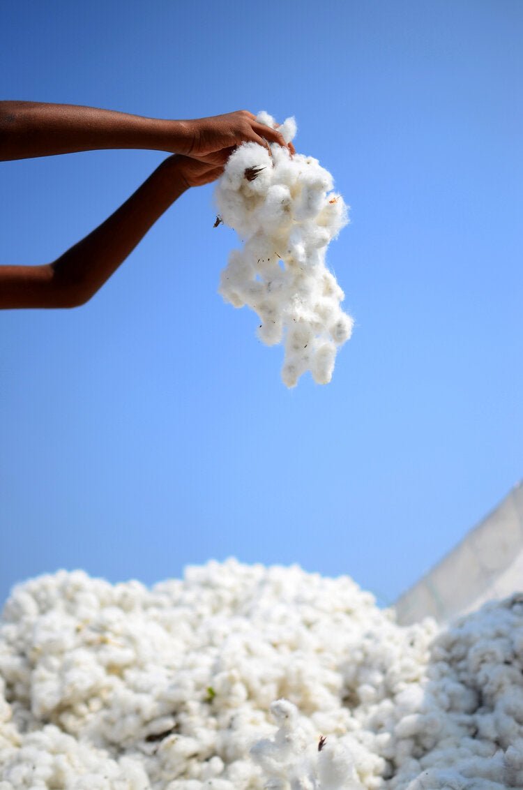 THE COTTON LINE: GOTS COTTON | criticallyendangered