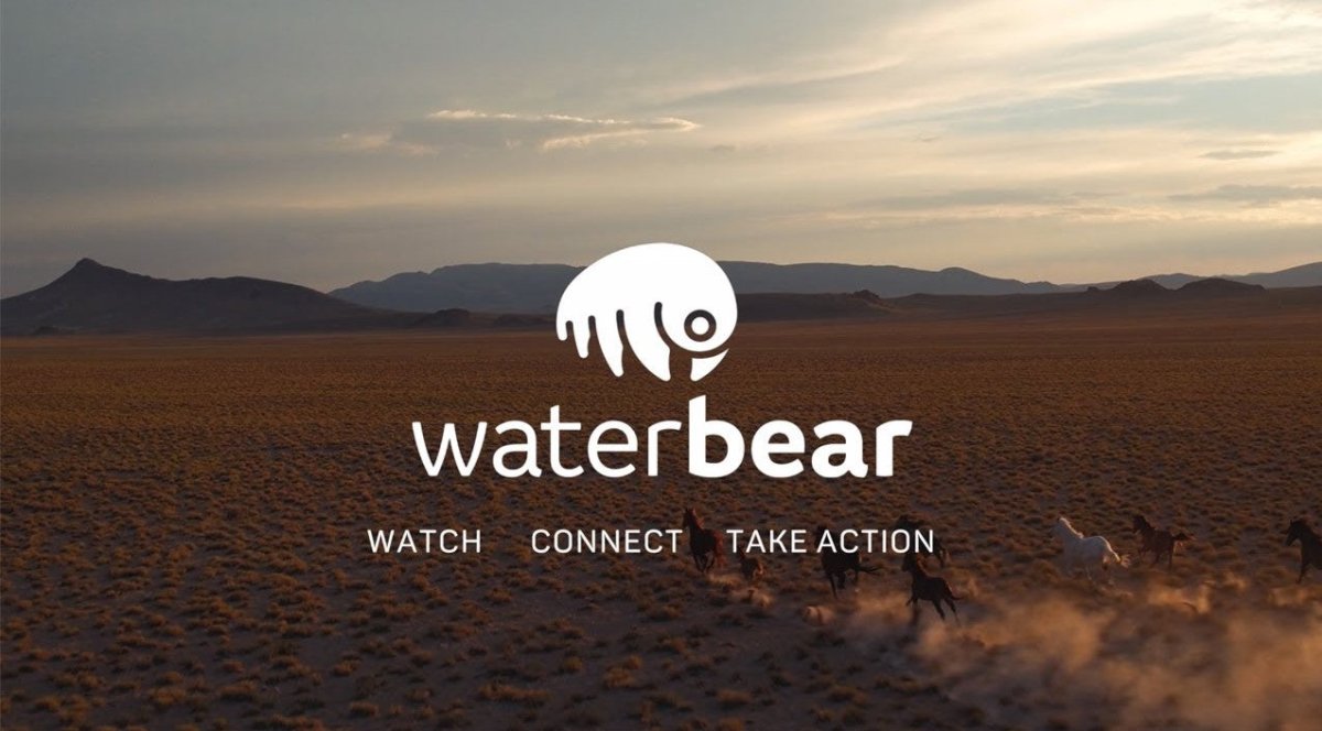 WHAT IS WATERBEAR? | criticallyendangered
