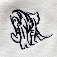 Tiger Jumper Oat
