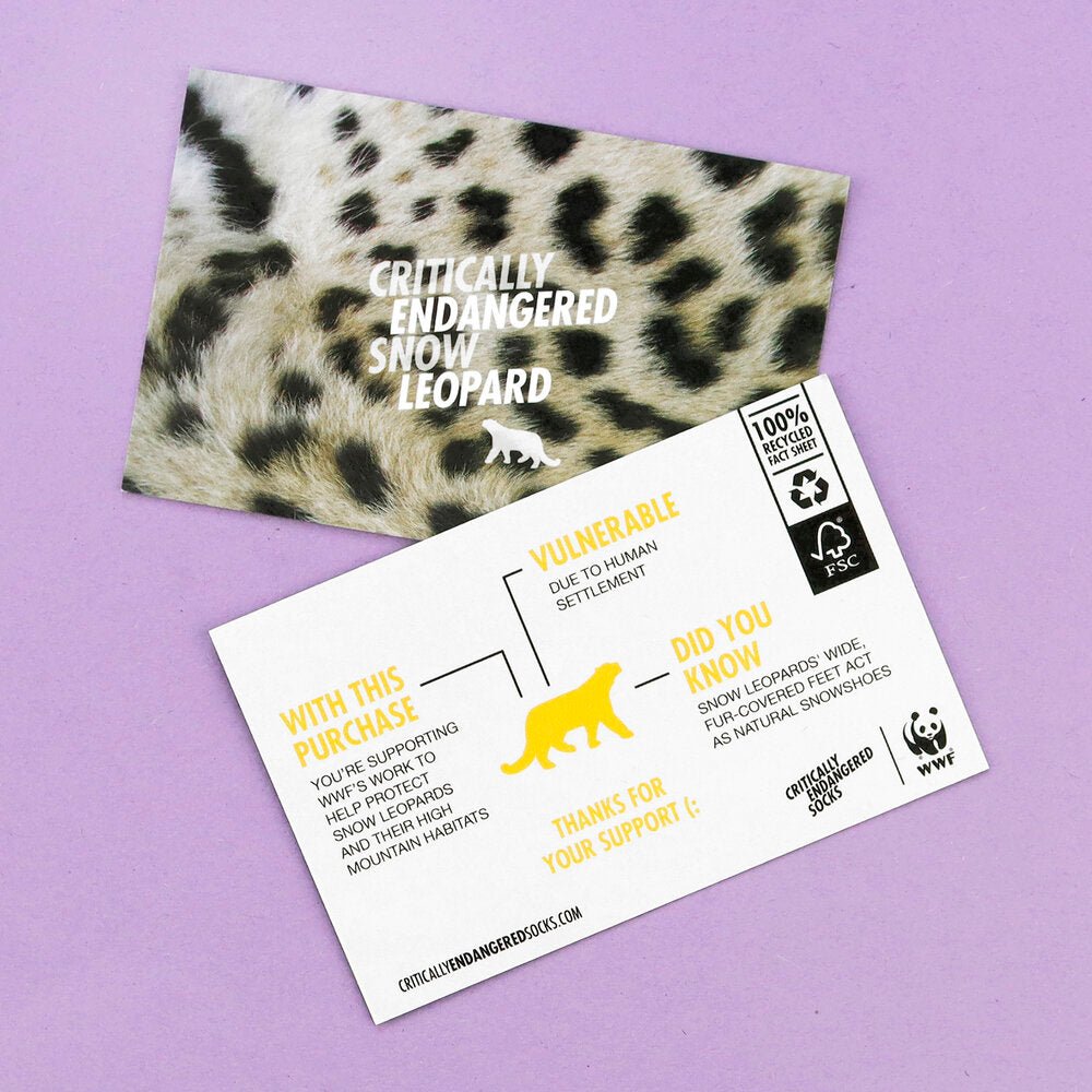 Snow Leopard speckled - criticallyendangered