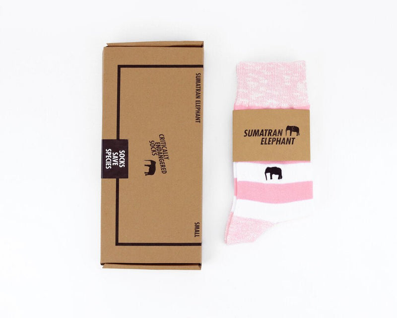 Sumatran Elephant striped - criticallyendangered